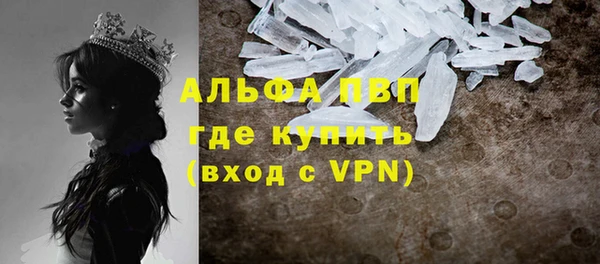 прущий лед Алзамай