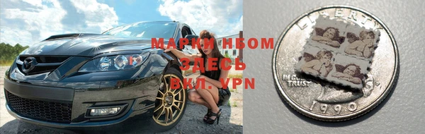прущие грибы Алексин
