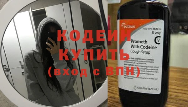 прущий лед Алзамай
