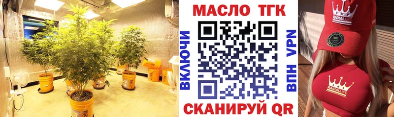 где можно купить   Обоянь  ТГК THC oil 